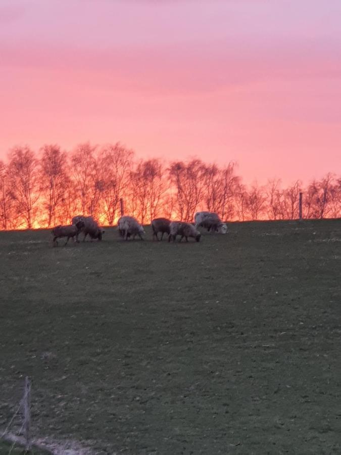 Lysbjerg Panzió Fåborg Kültér fotó